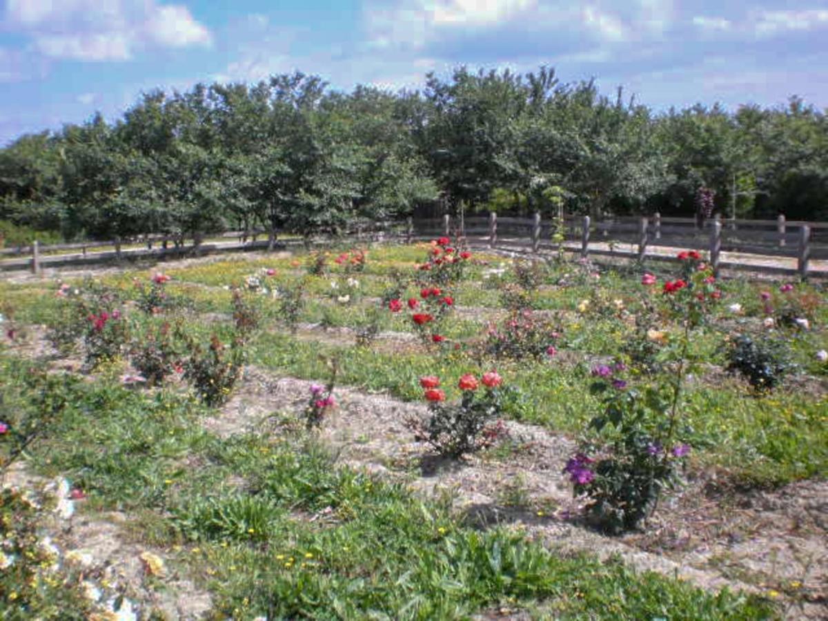 Xanthátai Aroggia Farmヴィラ エクステリア 写真