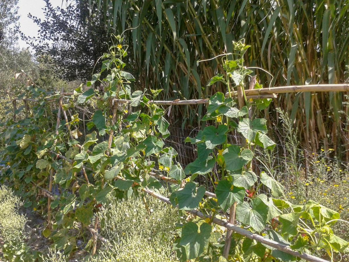 Xanthátai Aroggia Farmヴィラ エクステリア 写真